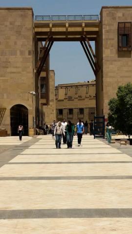 Males and females walking 