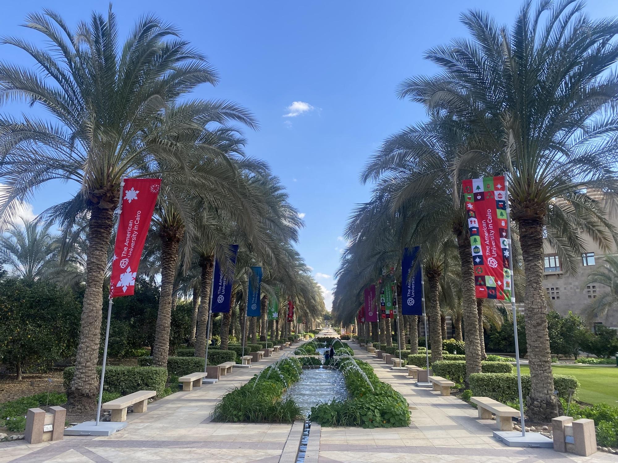 A fountain is in between palms on each side. There are Christmas themed flags hanging on poles next to the palms